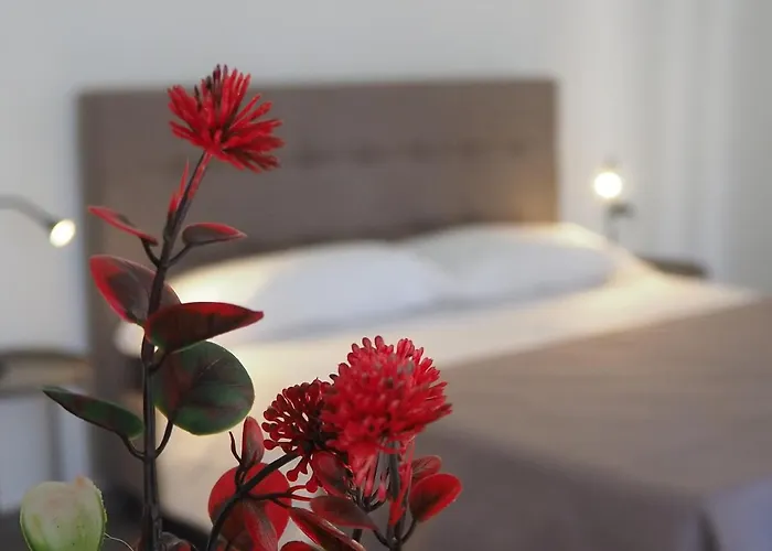 Bed & Breakfast Donpè