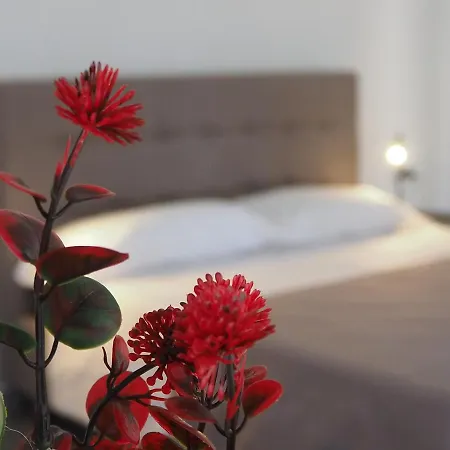 לינה וארוחת בוקר Donpe